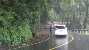 Musim Hujan, Pengendara Diminta Waspada Longsor dan Pohon Tumbang di Jalur Gumitir