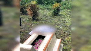 Mayat Bayi di Wirowongso Gegerkan Warga, Polisi Selidiki Pelaku Pembuangan