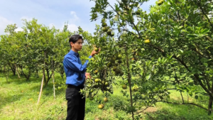 Mengintip Keseruan Agrowisata TEFA Polije, Petik Jeruk hingga Panen Telur Ayam