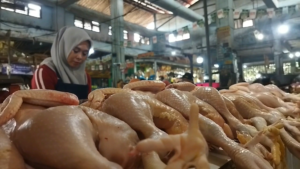 Harga Daging Ayam dan Sapi di Pasar Tanjung Naik, Pembeli Kurangi Belanja
