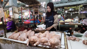 Harga Daging Ayam Tembus Rp42 Ribu, Pedagang Keluhkan Sepi Pembeli