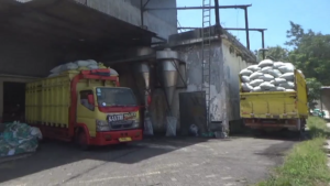 Bulog Jember Serap Gabah Petani Terdampak Cuaca Ekstrem